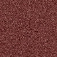 Shaw Stainmaster Simply Stated I Carpet