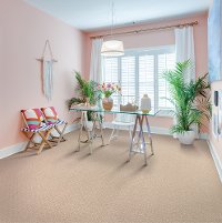 MHK.ELITE.CLASS Mohawk Elite Class Carpet