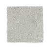 Mohawk Elite Class Carpet-2