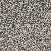 BRE.MAGNETISM Dixie Stainmaster Magnetism Carpet