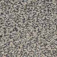 Dixie Stainmaster Magnetism Carpet