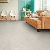 Dixie Stainmaster Magnetism Carpet-2