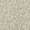BRE.MAIN.STAY Dixie Stainmaster Main Stay Carpet