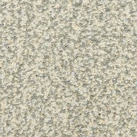 Dixie Stainmaster Main Stay Carpet