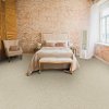 Dixie Stainmaster Main Stay Carpet-2
