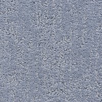 Dixie Stainmaster Cross Creek Carpet
