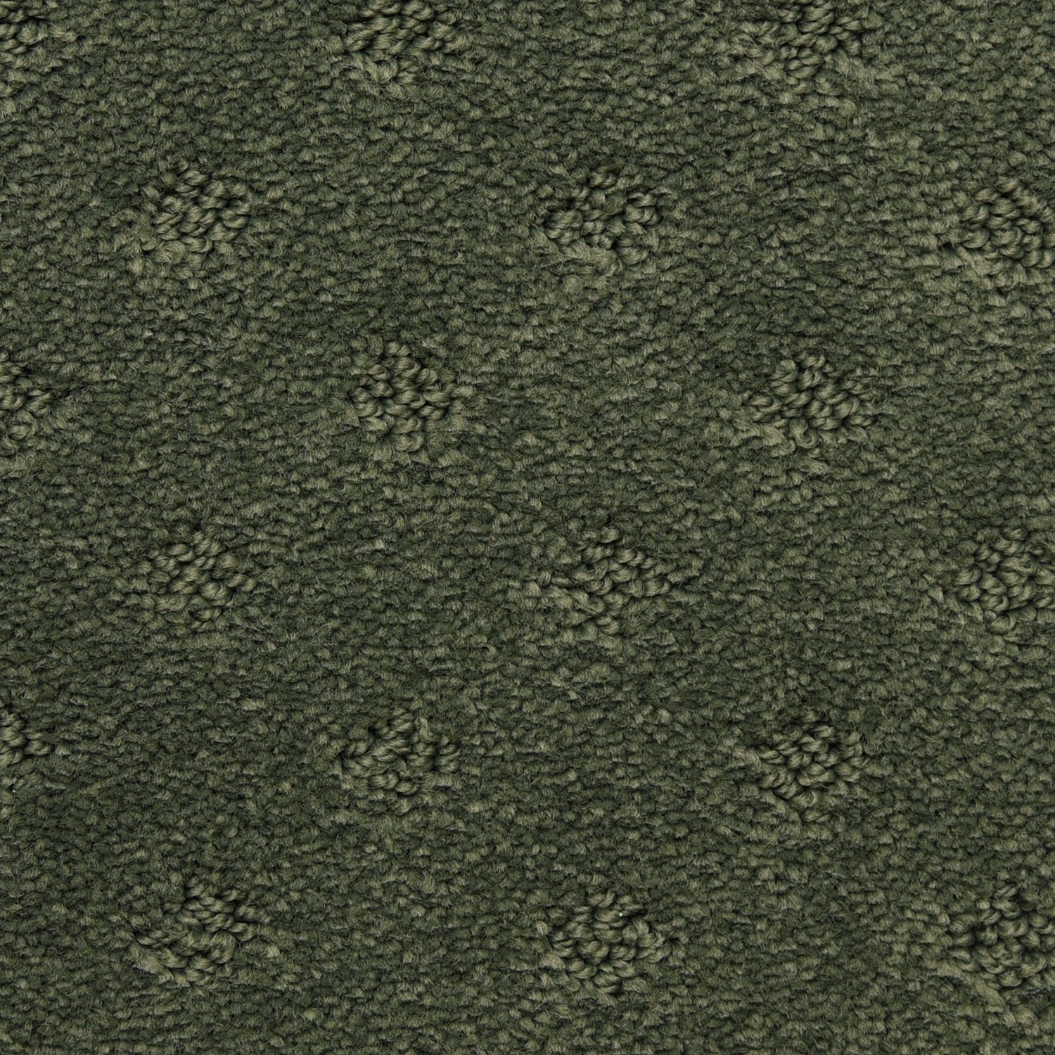 BRE.RIVER.DUNES Dixie River Dunes Carpet-1