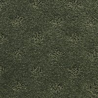 Dixie Stainmaster River Dunes Carpet