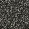 BRE.TIMELESS Dixie Home Stainmaster Timeless Carpet