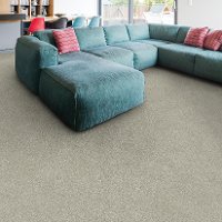 BRE.TIMELESS Dixie Home Stainmaster Timeless Carpet-2