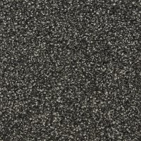 Dixie Home Timeless Carpet