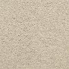 BRE.ARCADIAN Dixie Stainmaster Arcadian Carpet