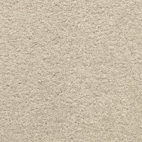 Dixie Stainmaster Arcadian Carpet