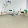 Dixie Stainmaster Arcadian Carpet-2