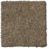 Phenix Stainmaster Art District Carpet