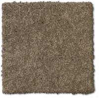 Phenix Stainmaster Art District Carpet