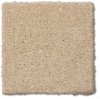 Phenix Stainmaster Gallery Row Carpet