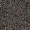 PHN.CLEVER.EXPRESSION Phenix Stainmaster Clever Expression Carpet