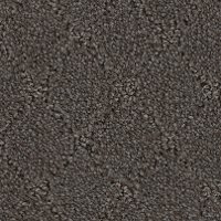 Phenix Stainmaster Clever Expression Carpet