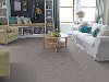 Phenix Stainmaster Clever Expression Carpet -2