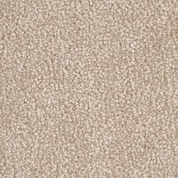 Phenix Revelry Carpet