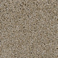 Phenix Sonata Carpet