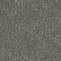 Phenix Triumph Carpet