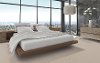 Phenix Triumph Carpet -2