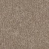 PHN.RAVE.REVIEWS Phenix Rave Reviews Carpet