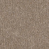 Phenix Rave Reviews Carpet