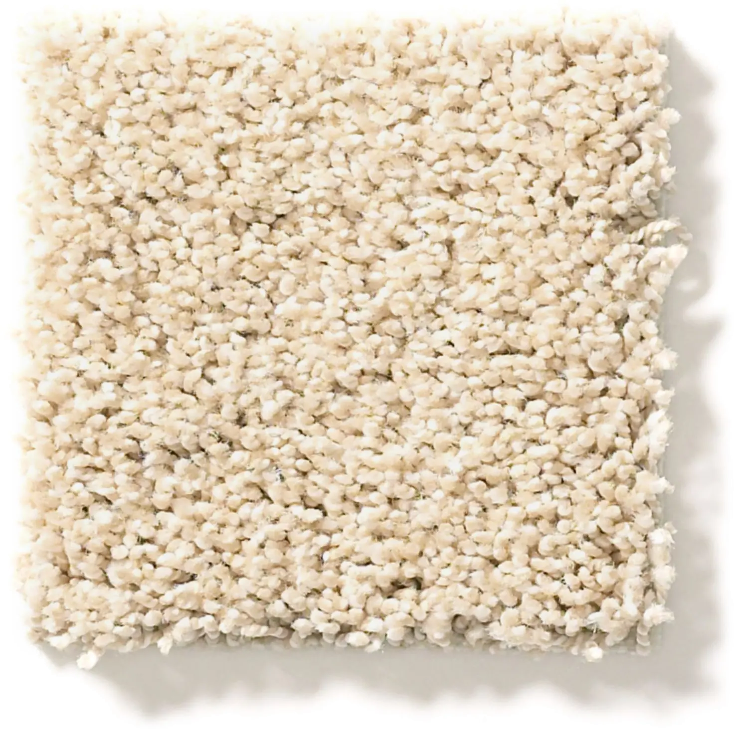 DSW.ACADIA.PARK Tuftex Acadia Park Carpet-1