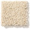 Tuftex Acadia Park Carpet-1