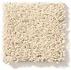 DSW.ACADIA.PARK Tuftex Acadia Park Carpet