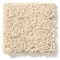 Tuftex Acadia Park Carpet