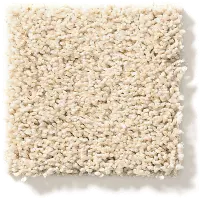 DSW.ACADIA.PARK Tuftex Acadia Park Carpet