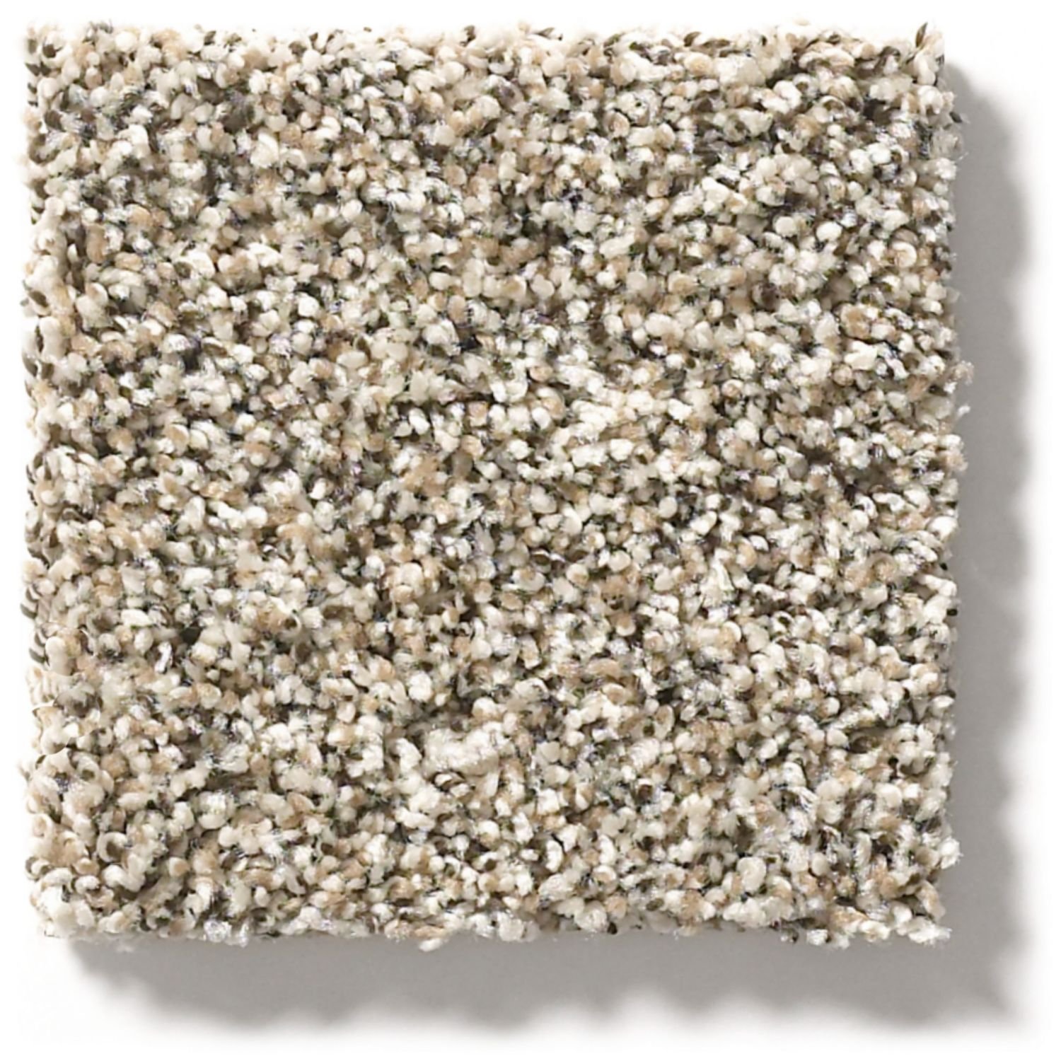 DSW.CARMEL.COAST Tuftex Carmel Coast Carpet-1