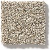 DSW.CARMEL.COAST Tuftex Carmel Coast Carpet