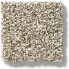 DSW.CARMEL.COAST Tuftex Carmel Coast Carpet
