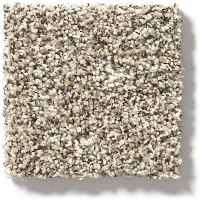 DSW.CARMEL.COAST Tuftex Carmel Coast Carpet