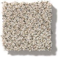Shaw Jazz It Up Carpet