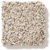 Shaw Mixed Elegance II Carpet