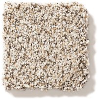 Shaw Mixed Elegance III Carpet