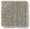 Tuftex Stainmaster Drift Carpet