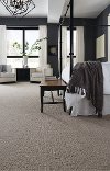 Tuftex Stainmaster Drift Carpet-2