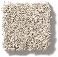 DSW.TERRA.LINDA.STOCK Tuftex Stainmaster Terra Linda Carpet
