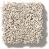 Tuftex Stainmaster Harmonious Carpet