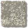 DSW.TAVARES Tuftex Stainmaster Tavares Carpet