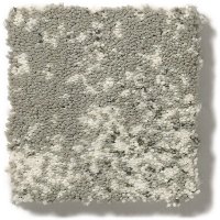 Tuftex Stainmaster Tavares Carpet