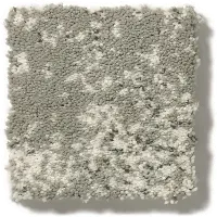 DSW.TAVARES Tuftex Tavares Carpet