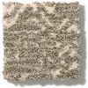 Tuftex Stainmaster Tanzania Carpet -1